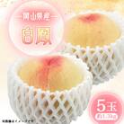 2026年先行予約　白鳳　5玉　1.3キロ