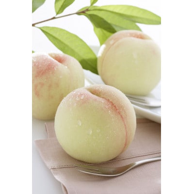 2026年 岡山白桃ロイヤル(1箱3玉)800g