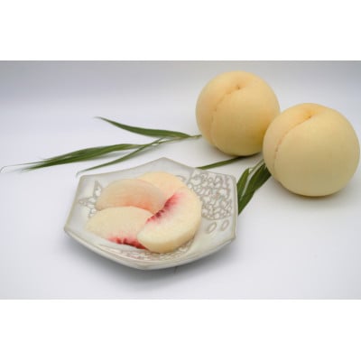 2026年 岡山白桃ロイヤル(1箱3玉)800g