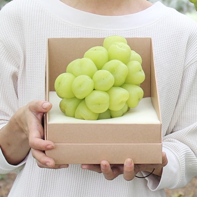 2026年先行予約　雄宝　1房　1キロ