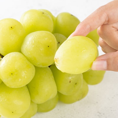 2026年先行予約　雄宝　1房　1キロ