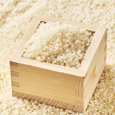 【令和7年産】【無洗米】岡山県産こしひかり8kg(2kg×4袋)