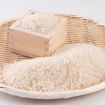 【令和7年産】岡山県産こしひかり10kg(5kg×2袋)