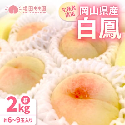 【先行予約★2026年7月中旬より順次発送予定】岡山県産　白鳳(2kg箱)