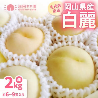 【先行予約★2026年8月上旬より順次発送予定】岡山県産　白麗(2kg箱)