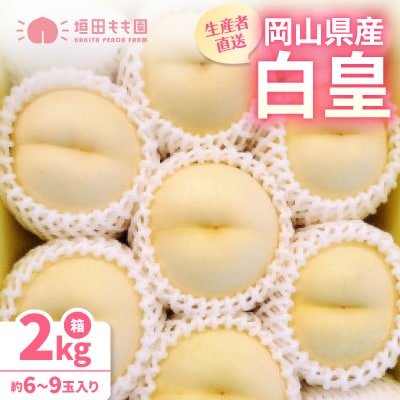 【先行予約★2026年8月下旬より順次発送予定】岡山県産　白皇(2kg箱)