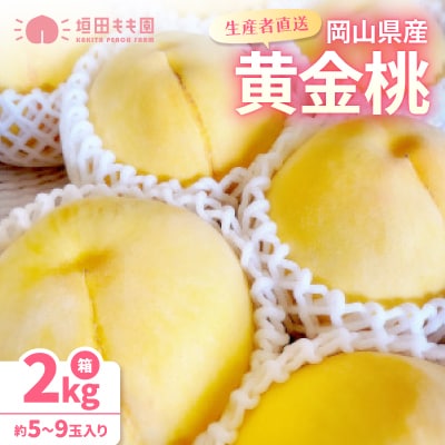 【先行予約★2026年9月中旬より順次発送予定】岡山県産　黄金桃(2kg箱)