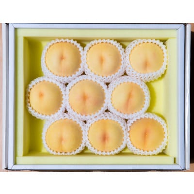 【2026年7月中旬より順次発送予定】岡山の桃　品種おまかせ　2kg箱(約6～9玉入り)