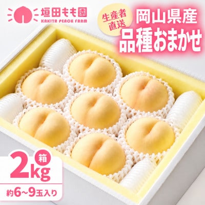 【2027年7月下旬より順次発送予定】岡山の桃　品種おまかせ　2kg箱(約6～9玉入り)