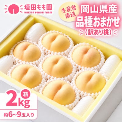【2027年7月下旬より順次発送予定】岡山の桃　品種おまかせ『訳あり桃』　2kg箱(約6～9玉入り)