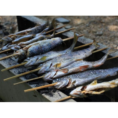 渓流釣り体験【ファミリー入場券】