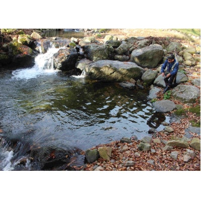 渓流釣り体験【大人1名入場券】