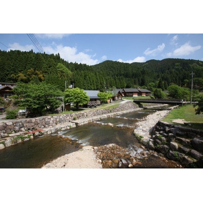 渓流釣り体験【大人1名 入場回数券】