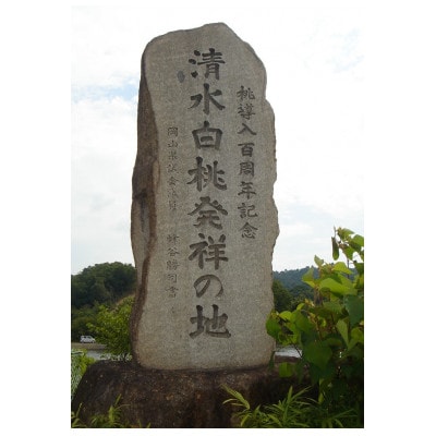 岡山市　一宮産　清水白桃　6～8玉入り　2キロ 化粧箱入り