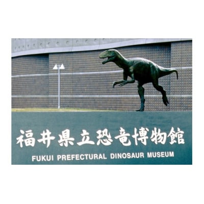 県立恐竜博物館【常設展観覧券一般3名と小・中学生2名】