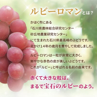 ルビー様確認用 つっかえ