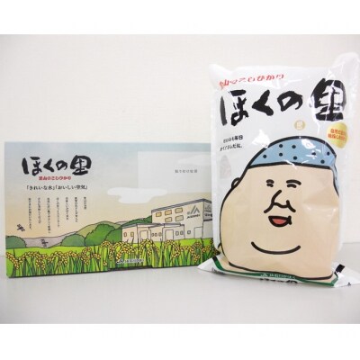 里山のこしひかり　ほくの里(10kg)　1箱