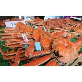 石川県 カニのお礼品 返礼品一覧 ふるさと納税サイト さとふる 石川県 カニのお礼品 返礼品一覧 ふるさと納税サイト さとふる