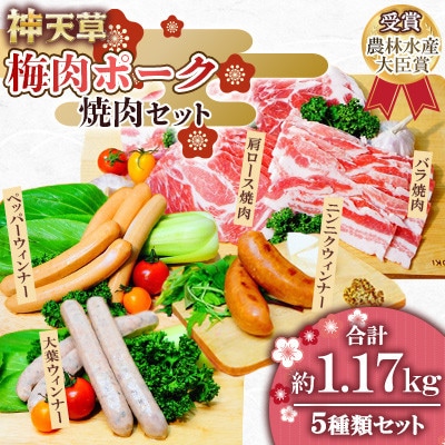 天草梅肉ポーク【焼肉】セット