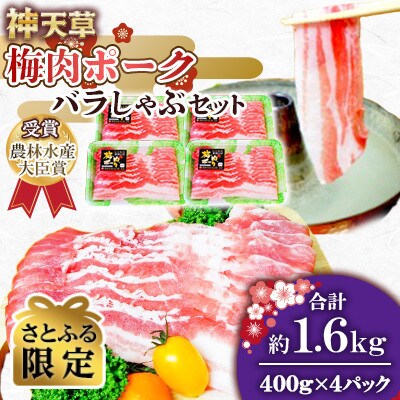 【さとふる限定】天草梅肉ポークバラしゃぶセット　400g×4パック　 計1.6kg
