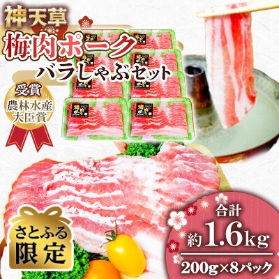 【さとふる限定】天草梅肉ポークバラしゃぶセット　200g×8パック　 計1.6kg