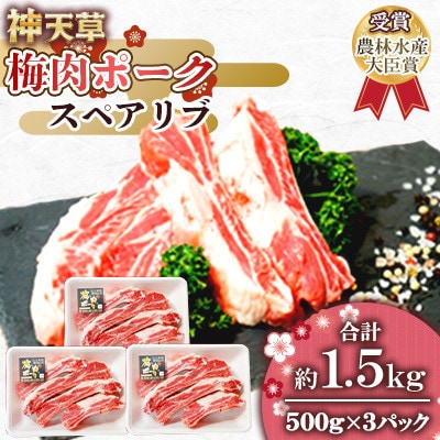 天草梅肉ポーク スペアリブ  500g×3パック　計1.5kg