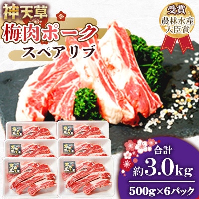 天草梅肉ポーク スペアリブ  500g×6パック　計3kg