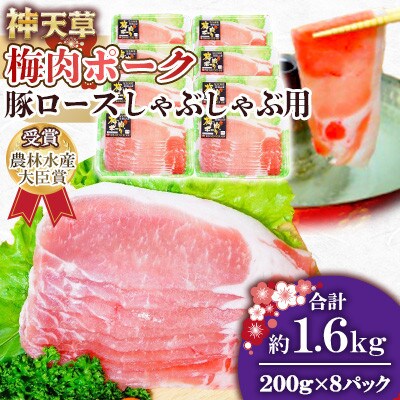 天草梅肉ポーク 豚ロース しゃぶしゃぶ用 200g×8パック 計1.6kg