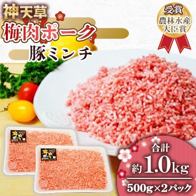 天草梅肉ポーク 豚ミンチ 500×2パック 計1kg