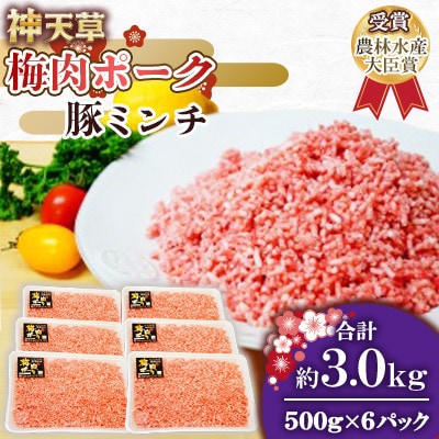 天草梅肉ポーク 豚ミンチ 500g×6パック 計3kg