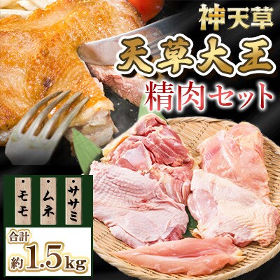 天草大王精肉セット