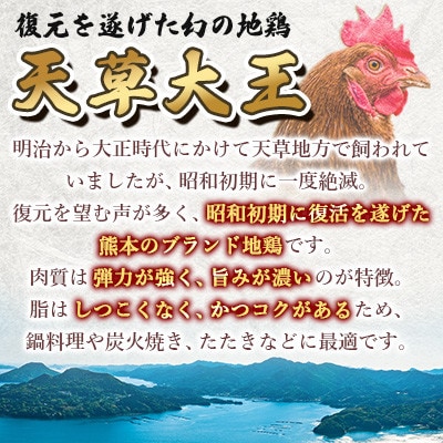 熊本県の地鶏「天草大王」のとりすき鍋 セット (4～5人前)