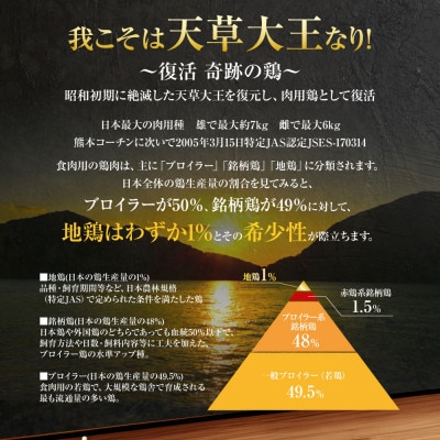 天草大王 塩麹漬け 9セット 200g×9パック 合計1.8kg