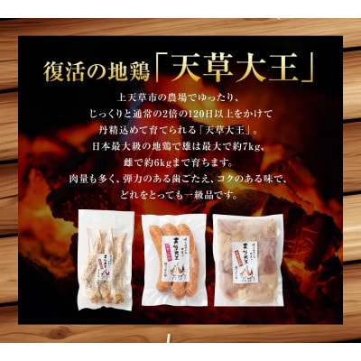 天草大王プレミアムバーベキューセット 計3パック
