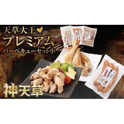 天草大王プレミアムバーベキューセット(小) 計6パック