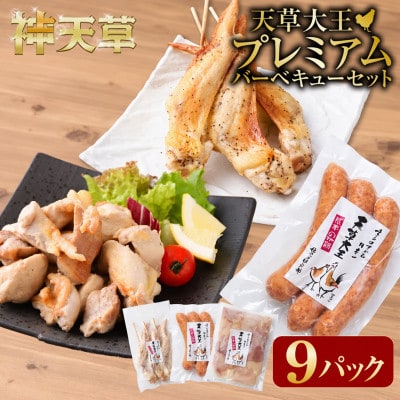 天草大王プレミアムバーベキューセット 計9パック