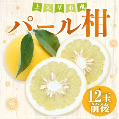 パール柑　約5kg(12玉前後)
