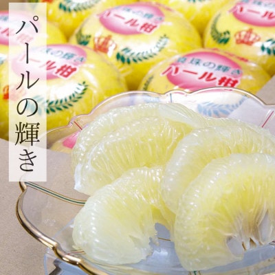 パール柑(11～13玉)【3月上旬から順次発送】