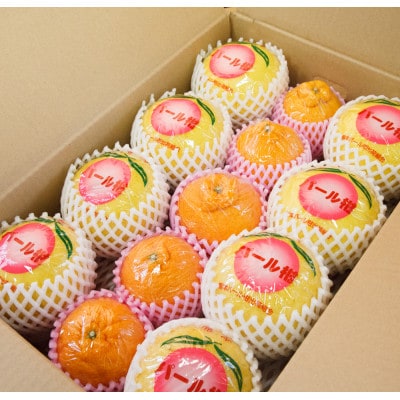 パール柑と不知火の詰合せ