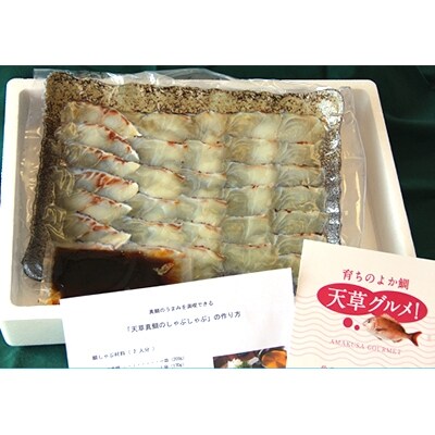 産地直送!天草鯛しゃぶセット(鯛魚醤付き)
