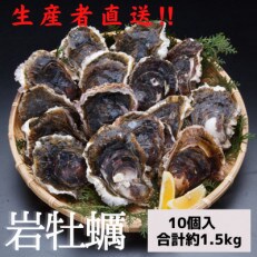 【2023年6月より順次発送】岩牡蠣　10個入り　合計約1.5kg