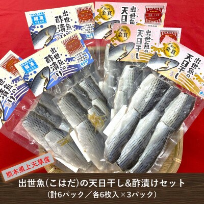 出世魚(こはだ)の天日干し&酢漬けセット