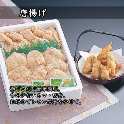 【極】とらふぐフルコース『白子/唐揚げセット/焼きひれ/特製ポン酢/もみじおろし付き』
