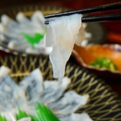 《お一人様用》とらふぐ刺身セット(一人前×2皿)『ポン酢/薬味付き』