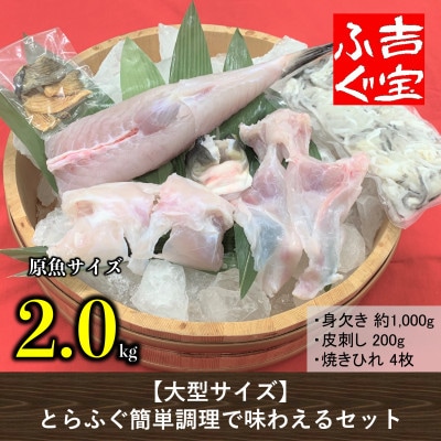 【大型サイズ】国産養殖!とらふぐ簡単調理で味わえるセット
