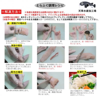 【発送月固定定期便】1月～3月 国産養殖!とらふぐ簡単調理で味わえるセット全3回