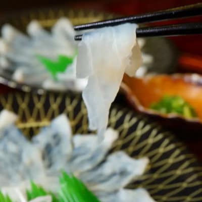 【毎月定期便】《お一人様用》とらふぐ刺身セット(一人前×2皿)『ポン酢/薬味付き』全6回