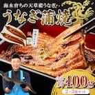 希少!数量限定!海水育ちの天草藍うなぎ　蒲焼き2～3尾セット
