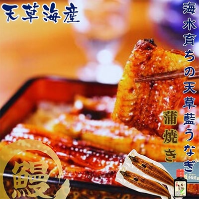 希少!数量限定!海水育ちの天草藍うなぎ　蒲焼き2～3尾セット
