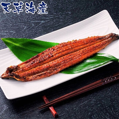 希少!数量限定!海水育ちの天草藍うなぎ　蒲焼き2～3尾セット